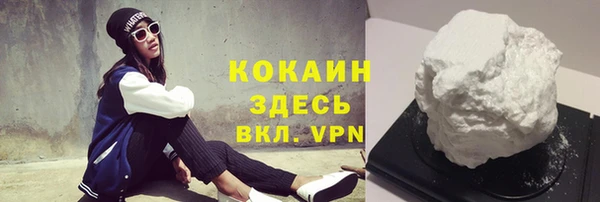 прущий лед Алзамай
