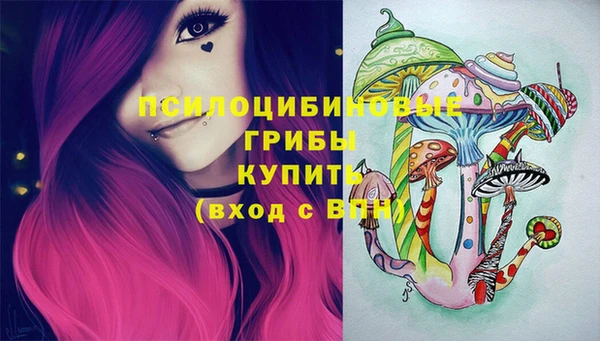 шишки Алексин