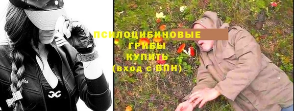 шишки Алексин