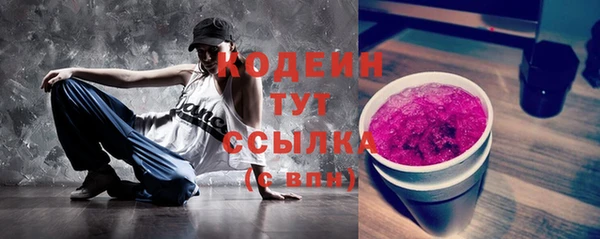 прущий лед Алзамай