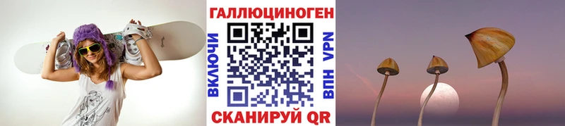 цена наркотик  Перевоз  Галлюциногенные грибы MAGIC MUSHROOMS 